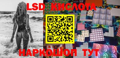 дмт Краснодар