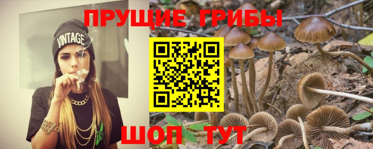 Псилоцибиновые грибы MAGIC MUSHROOMS Каменск-Уральский