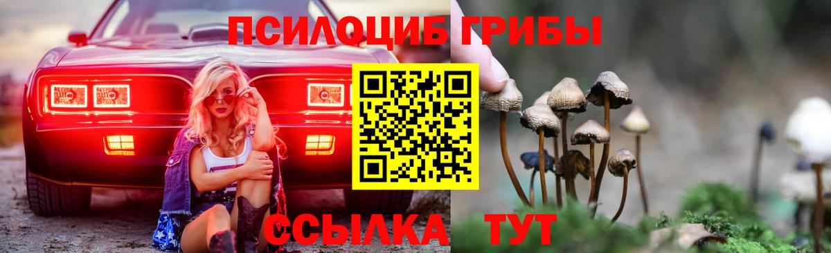 Псилоцибиновые грибы GOLDEN TEACHER  Вход с VPN  как найти закладки  Каменск-Уральский 